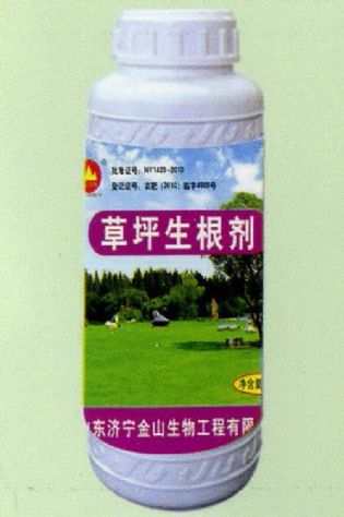 點(diǎn)擊查看詳細(xì)信息<br>標(biāo)題：草坪生根劑 閱讀次數(shù)：1890